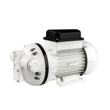 Load image into Gallery viewer, Anti-corrosion Chemical Pump 12V/24V/220V 3/4&quot; 10M Organic Solvent Self-priming Pump
